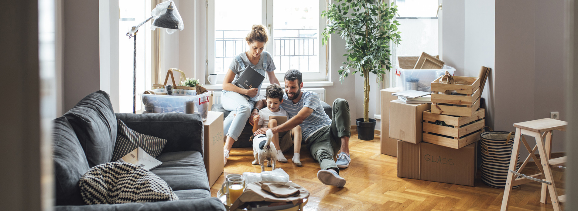BELOTTI à THONON LES BAINS, membre du réseau expert Vachette